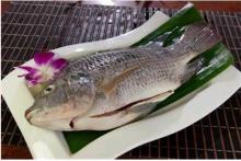  tilapia   gutted  and  scaled 