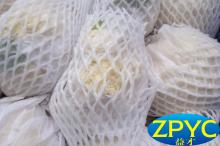 Fresh cauliflower