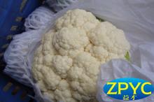 Cauliflower