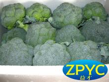 2015 fresh Chinese broccoli
