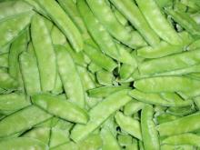 frozen iqf snow pea pod