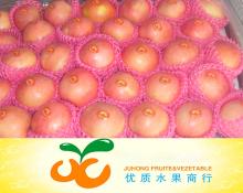 Red Fuji Apple