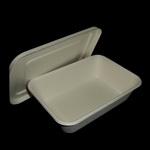 Sugarcane lunch box with separated lid