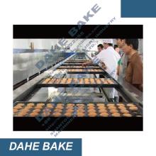 Cake Production Machine Prordction Line CAF SERIES
