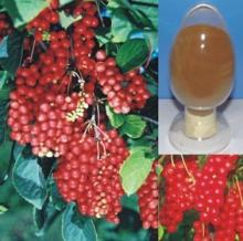  Fructus   schisandra e chinensis Extract