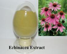  Echinacea  Herb Extract