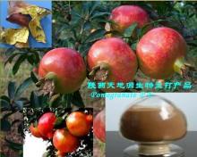 Ellagic Acid