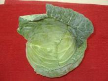fresh cabbage