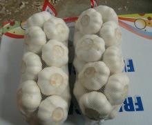 Pure White Garlic 6.0cm
