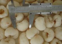 Supply Frozen Lychee