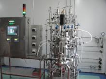 Lab-scale Bioreactors and Fermentors