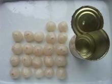 canned lychee