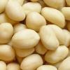 Peanut Kernels