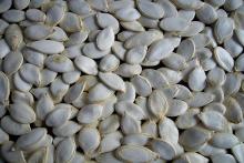 snow white pumpkin seeds