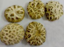 FLOWER SHIITAKE MUSHROOMS