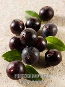 Acai Berry Extract