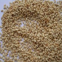  roasted   sesame  seed