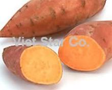 Fresh sweet potatoes
