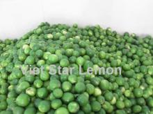 Fresh lemon supply
