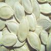 High Quality Shine Skin Pumpkin Seeds in shell