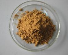 Ginkgo Biloba Extract