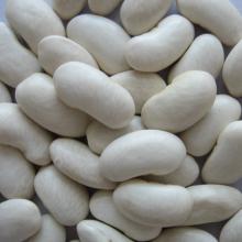 White Kidney Beans (Long Shape)