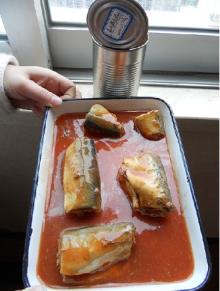 Tin Fish Mackeral