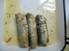 Sardine Can in Oil