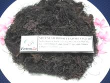 Gracilaria seaweed supply