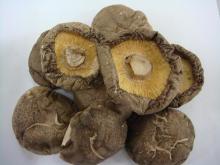 Dried Shiitake Mushroom