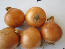 yellow onion