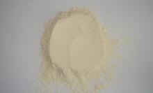 Onion Powder