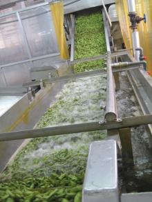 frozen edamame FDA