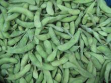 cheapest new season IQF soybean