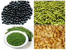 black bean