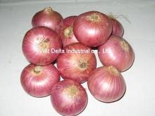 red onion