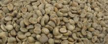  yunnan   arabica   coffee   bean s