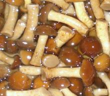 preserved nameko