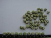  Dried  Green  Peas 