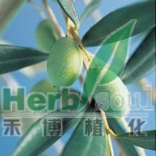 Hydroxytyrosol Powder