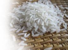 Thai Jasmine  Rice  (Thai Hom Mali  Rice )