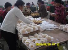 Pear   export  to high quality market