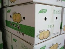 Sweet chinese pear
