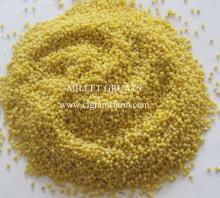 Chinese Yellow  Millet -  hulled 