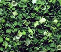 air  dried   scallion ; AD  scallion 