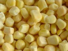 IQF SWEET CORN