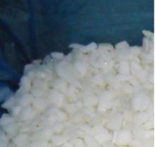 IQF DICED ONION