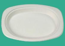 116 oral plate disposable tableware