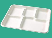 119 tray disposable tableware