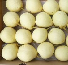  Fresh   Ya   Pear  2011 new crop